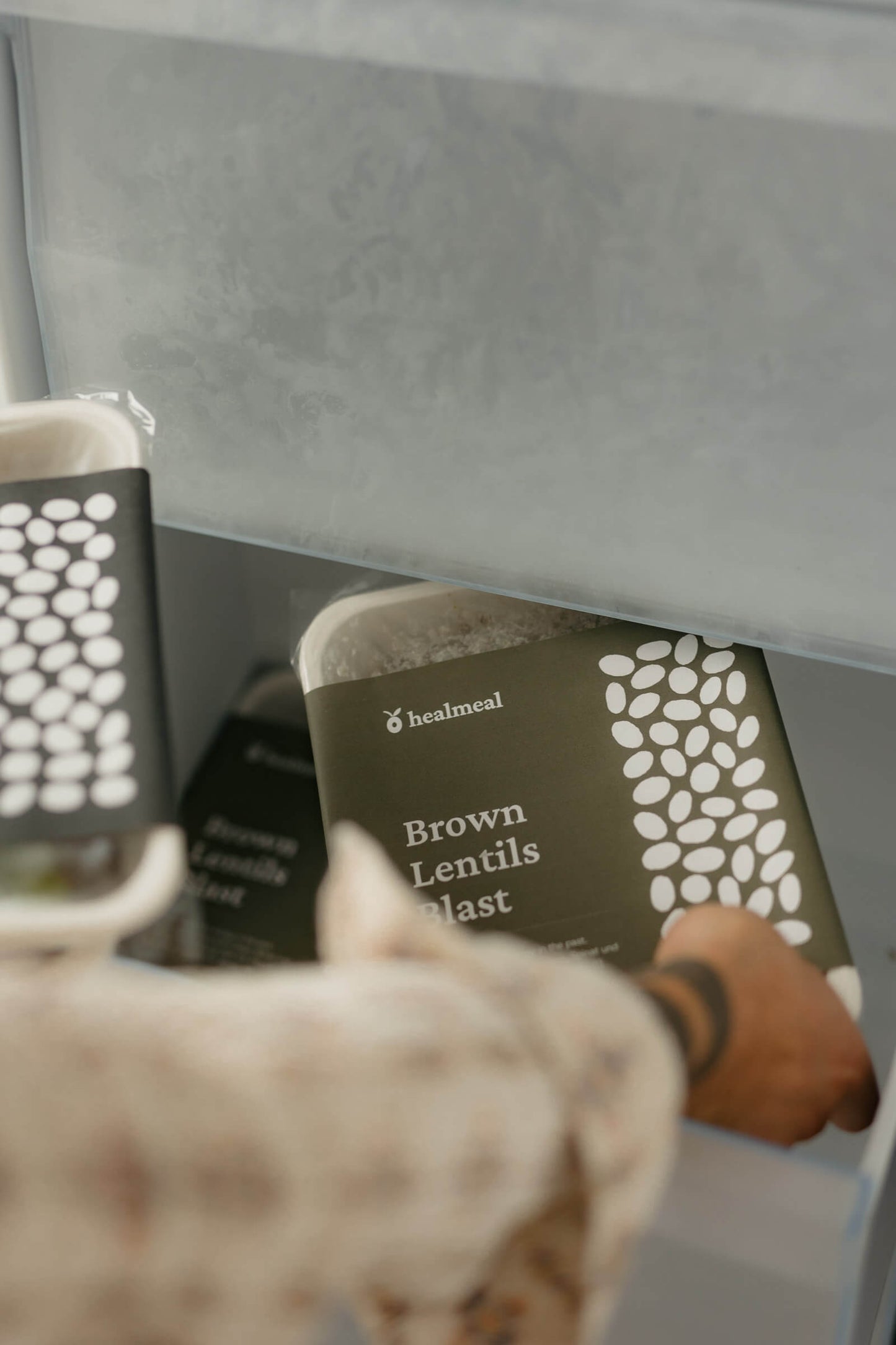 Brown Lentils Blast