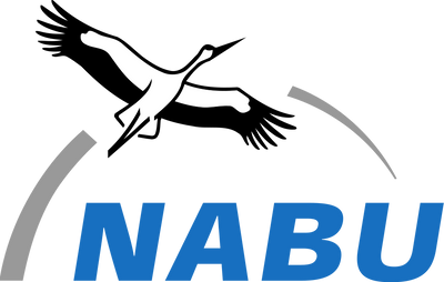 Featured in logo